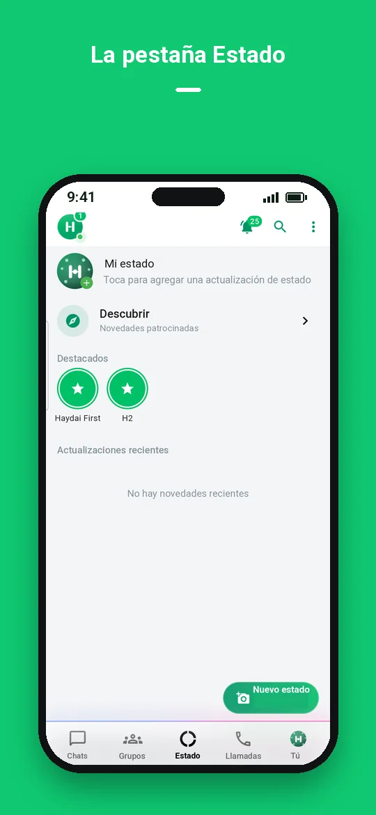 La pestaña Estado — Haydai