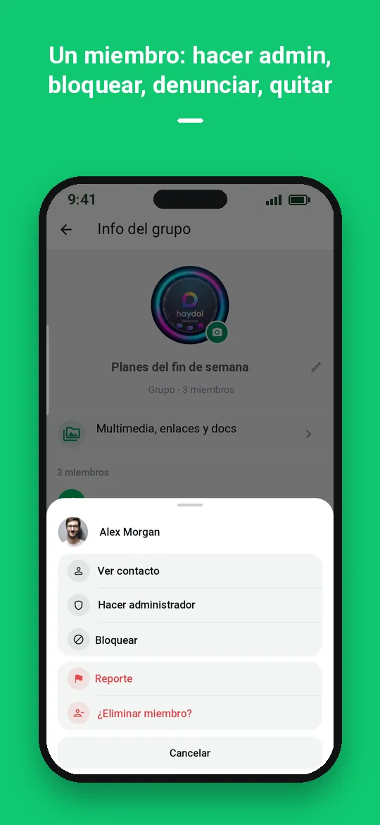 Un miembro: hacer admin, bloquear, denunciar, quitar — Haydai