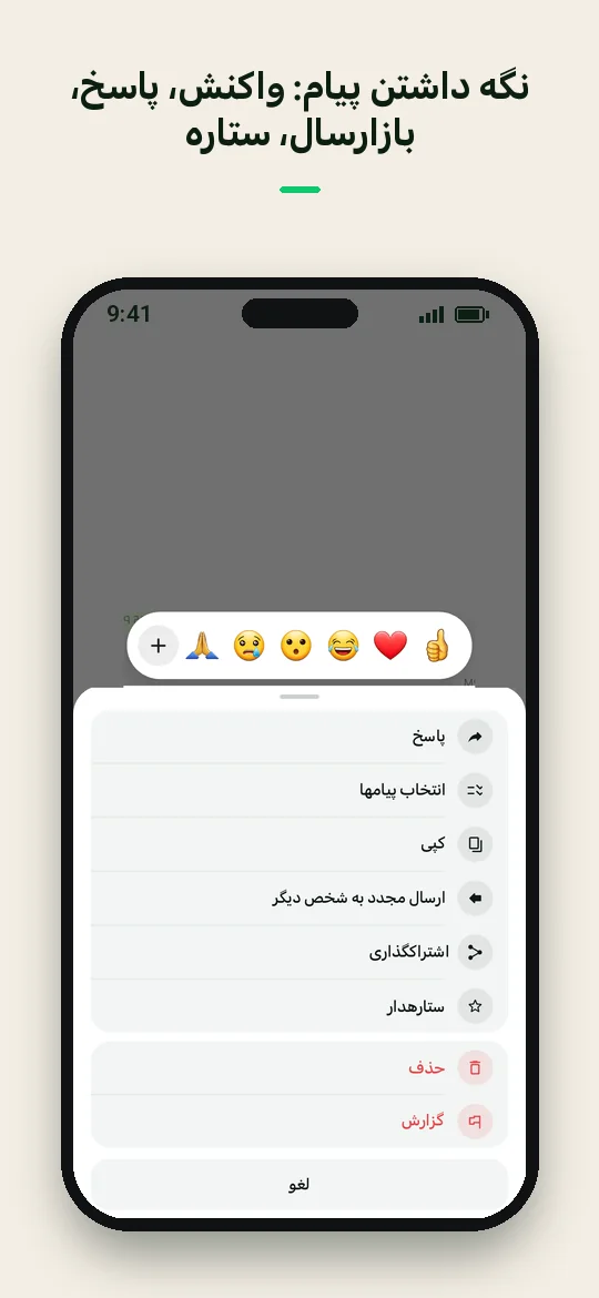نگه داشتن پیام: واکنش، پاسخ، بازارسال، ستاره — Haydai