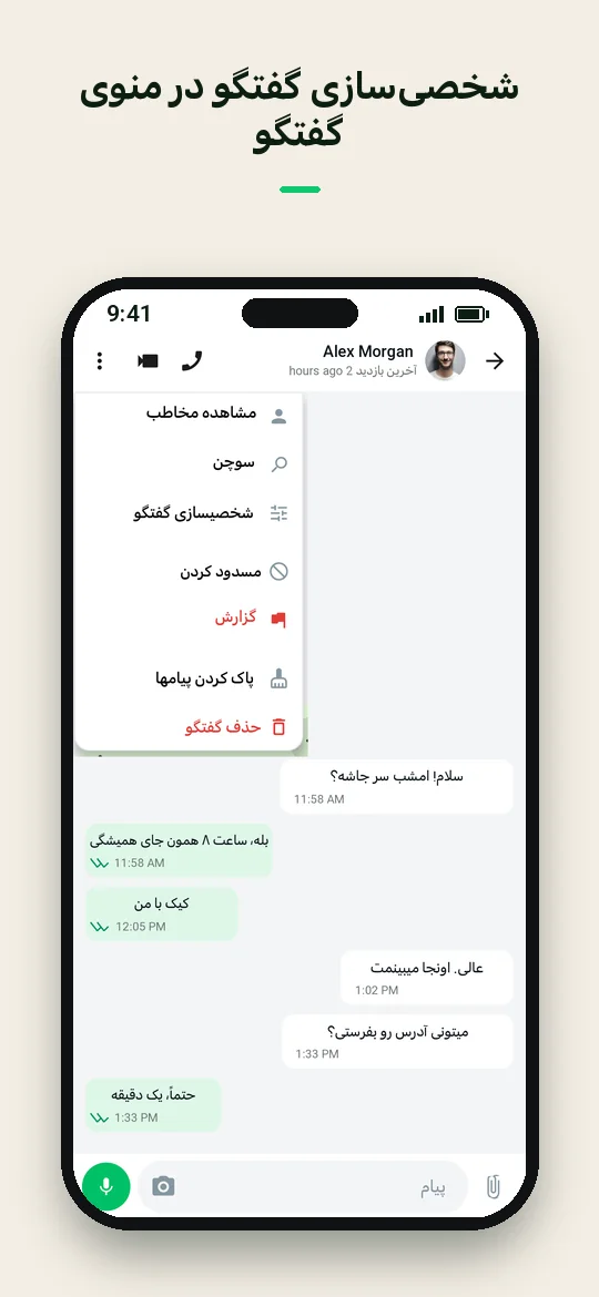 شخصی‌سازی گفتگو در منوی گفتگو — Haydai