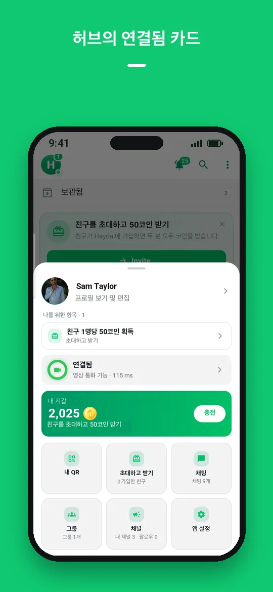 허브의 연결됨 카드 — Haydai