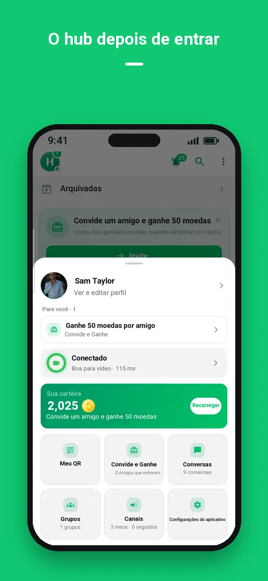 O hub depois de entrar — Haydai