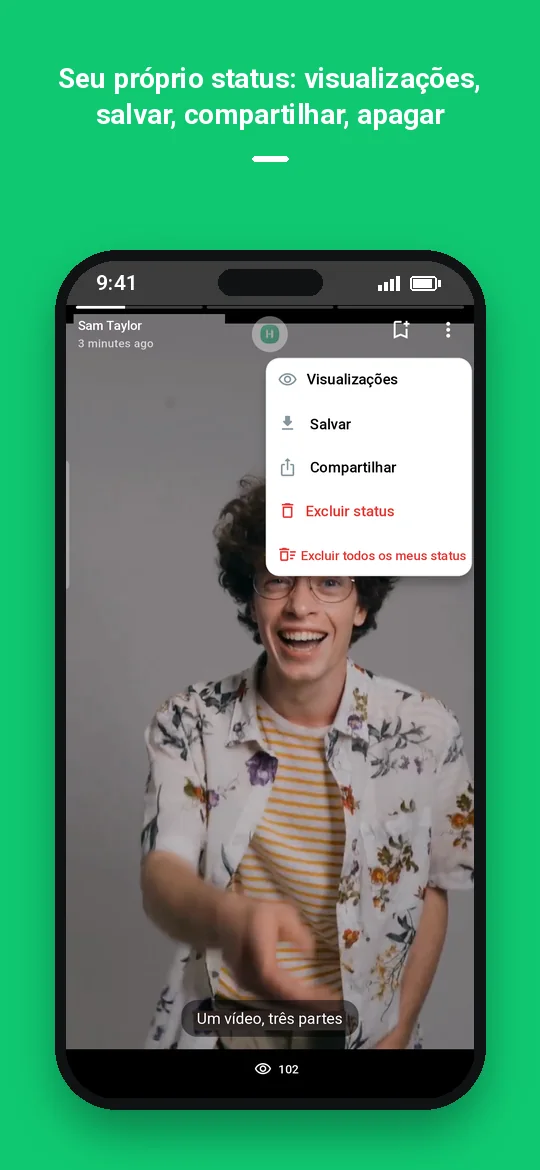 Seu próprio status: visualizações, salvar, compartilhar, apagar — Haydai
