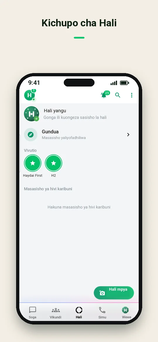 Kichupo cha Hali — Haydai