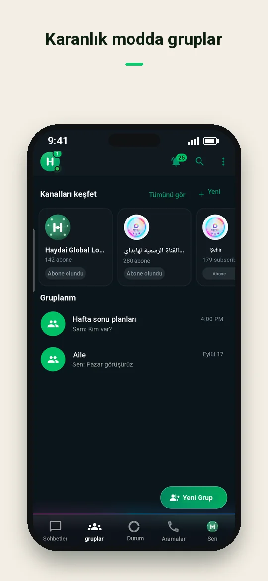 Karanlık modda gruplar — Haydai