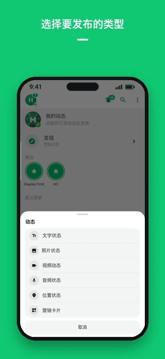 选择要发布的类型 — Haydai